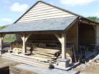 oak-3.jpg