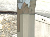 DSCF2272.jpg